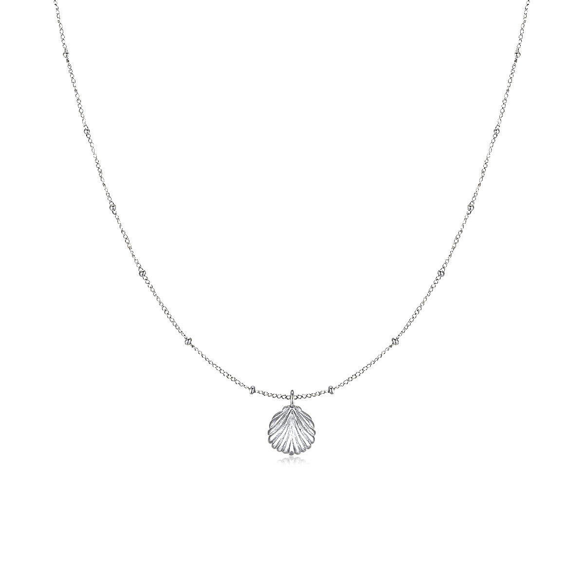 Collier Coquille Marine