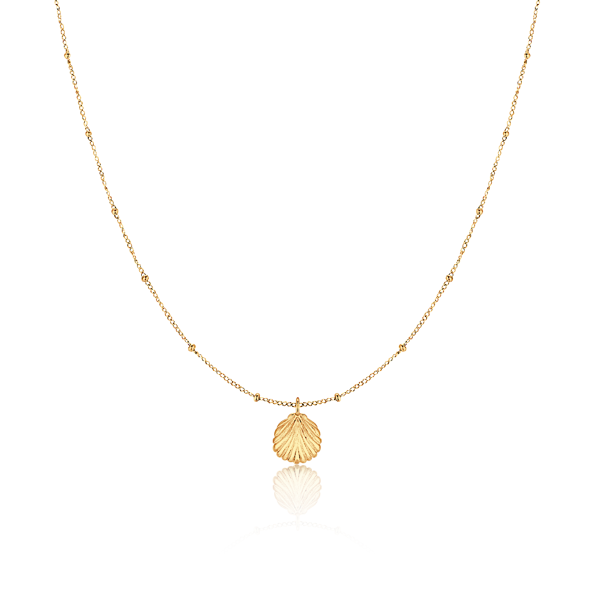 Collier Coquille Marine